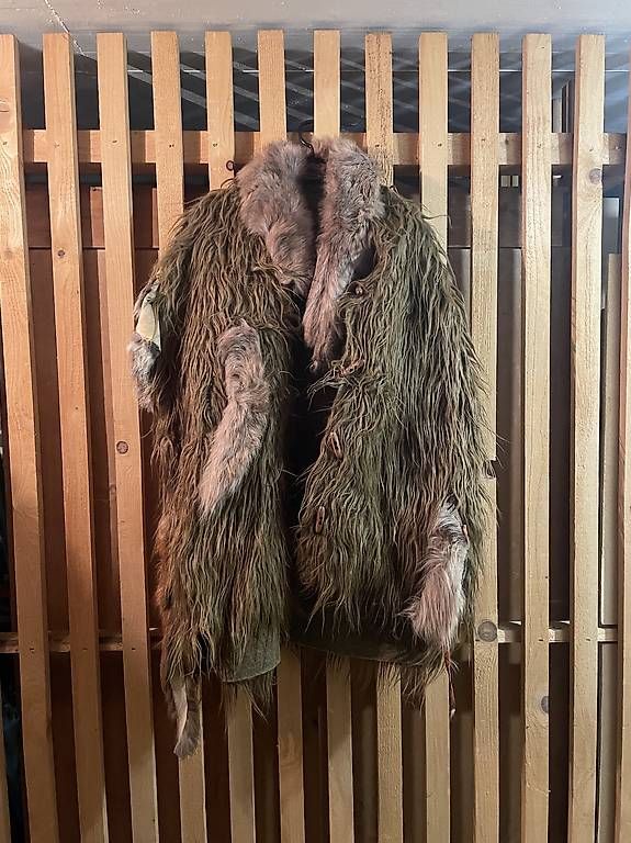 Costumes: Fastnachtskleider diverse  – D'occasion à Luzern par jak_xx9s