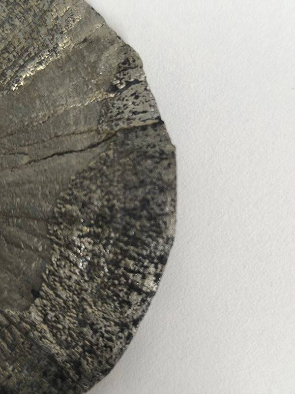 Mineralien & Heilsteine: Pyrit Sonne - Miner's Dollar – Gebraucht aus Rüti ZH von Restwert_Rueti_ZH 2