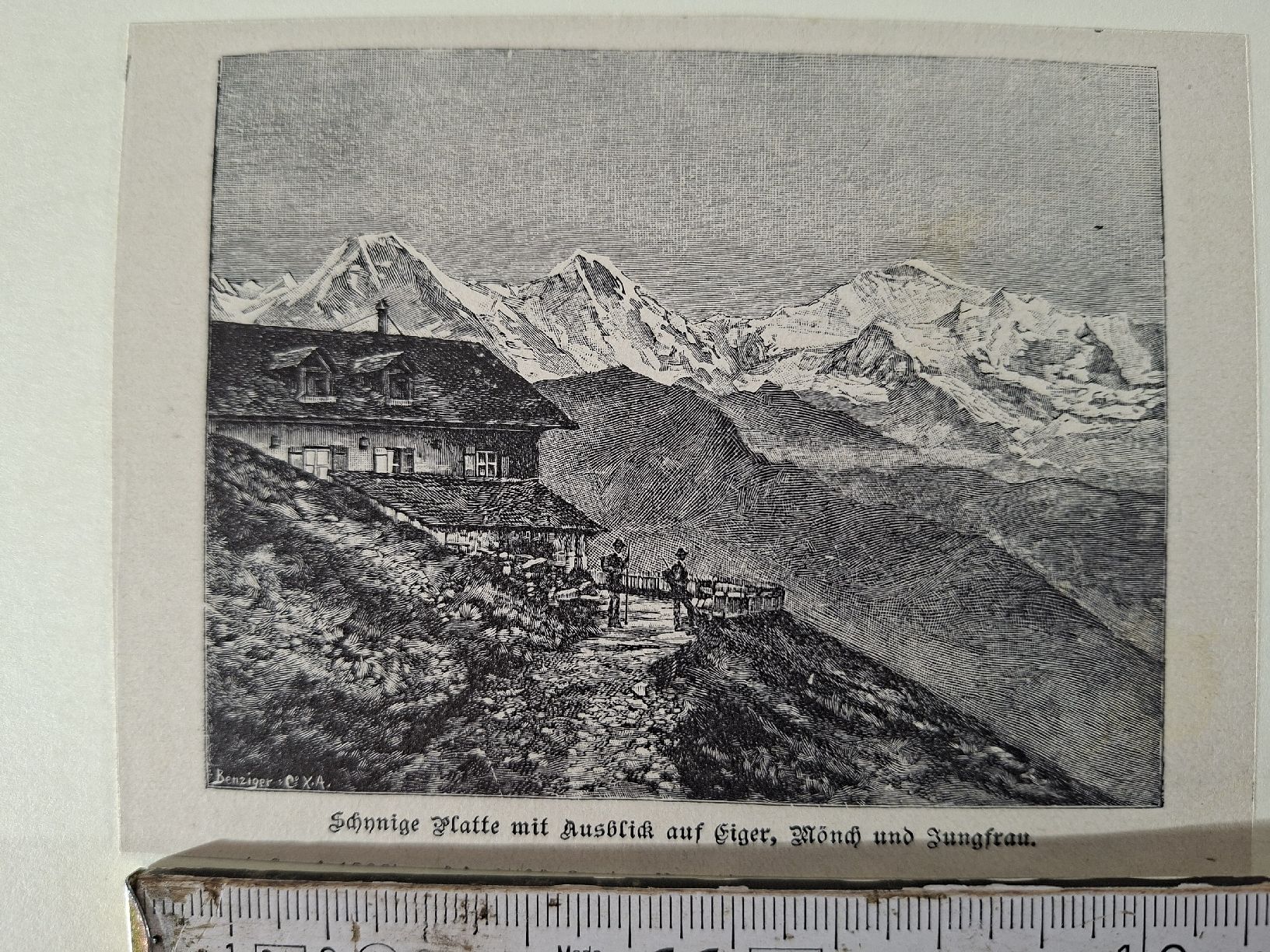 Incisioni: Lot 66 , 10 Stiche  – Usato da Grindelwald venduto da carro5 8