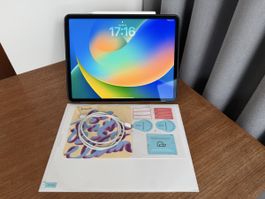 iPad Pro 12.9 13 Wi-Fi Cellular 256GB