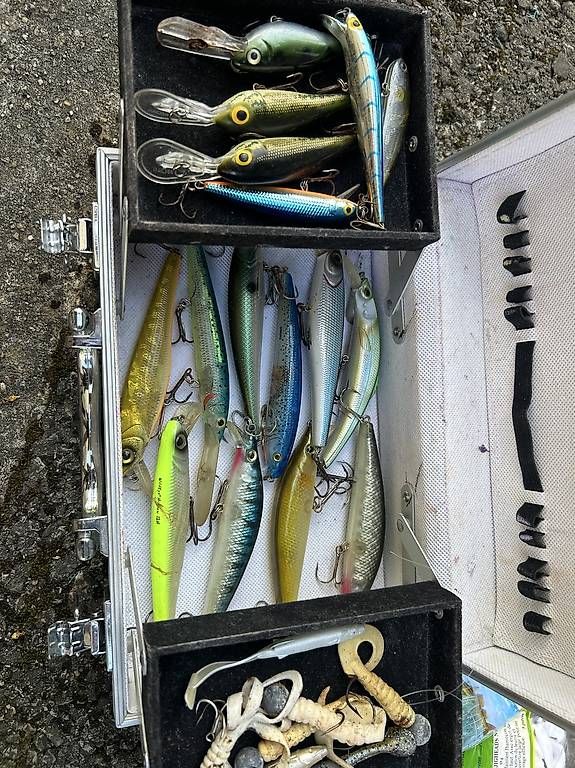 Shimano Canne da pesca: Matériel de pêche – Usato da boudry venduto da jul_sv92 2