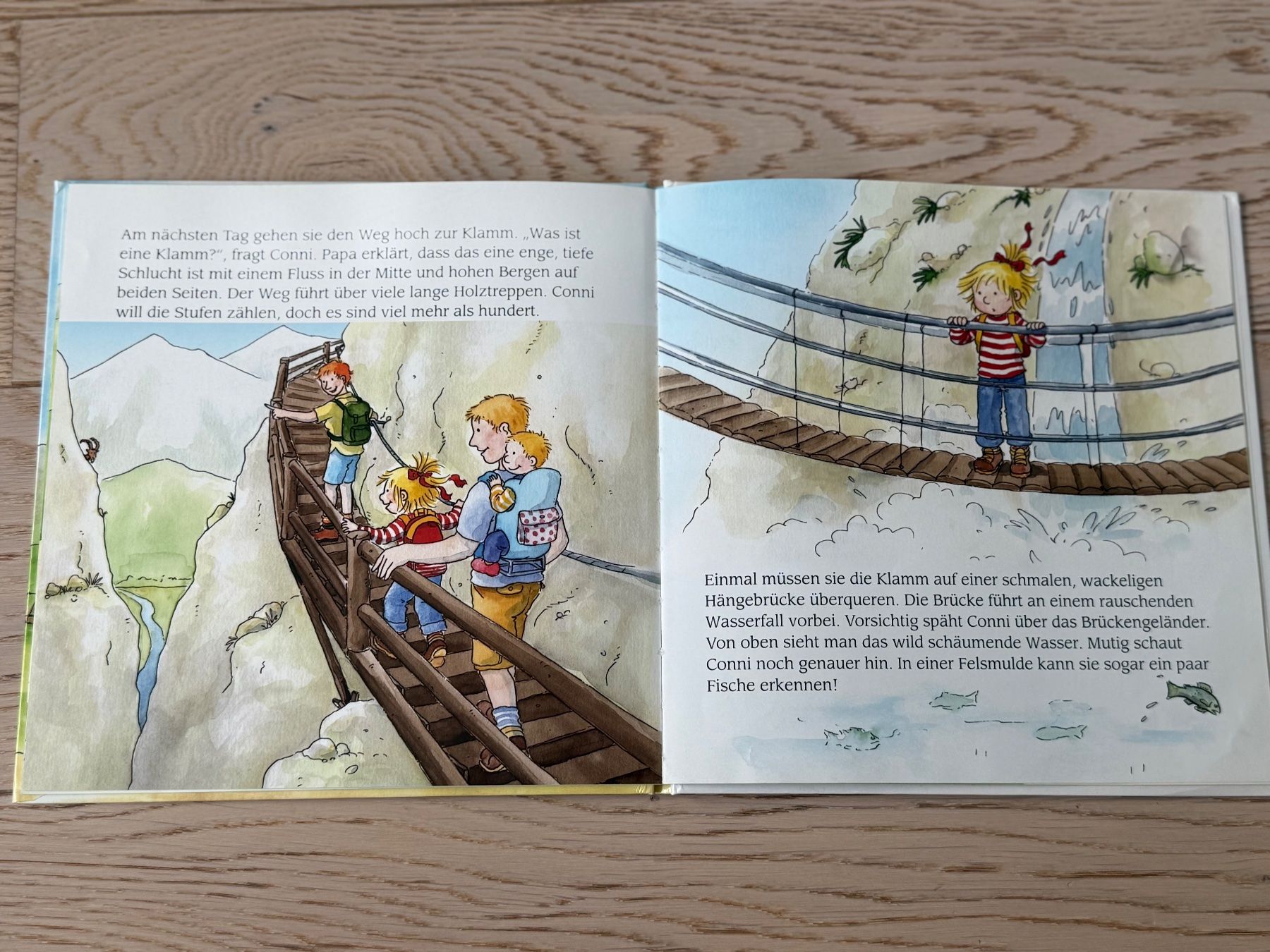Bücher: Conni in den Bergen – Gebraucht aus Hirzel von Dream-Box 1
