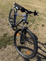 Scott Contessa Mountainbike Grösse L sehr guter Zustand