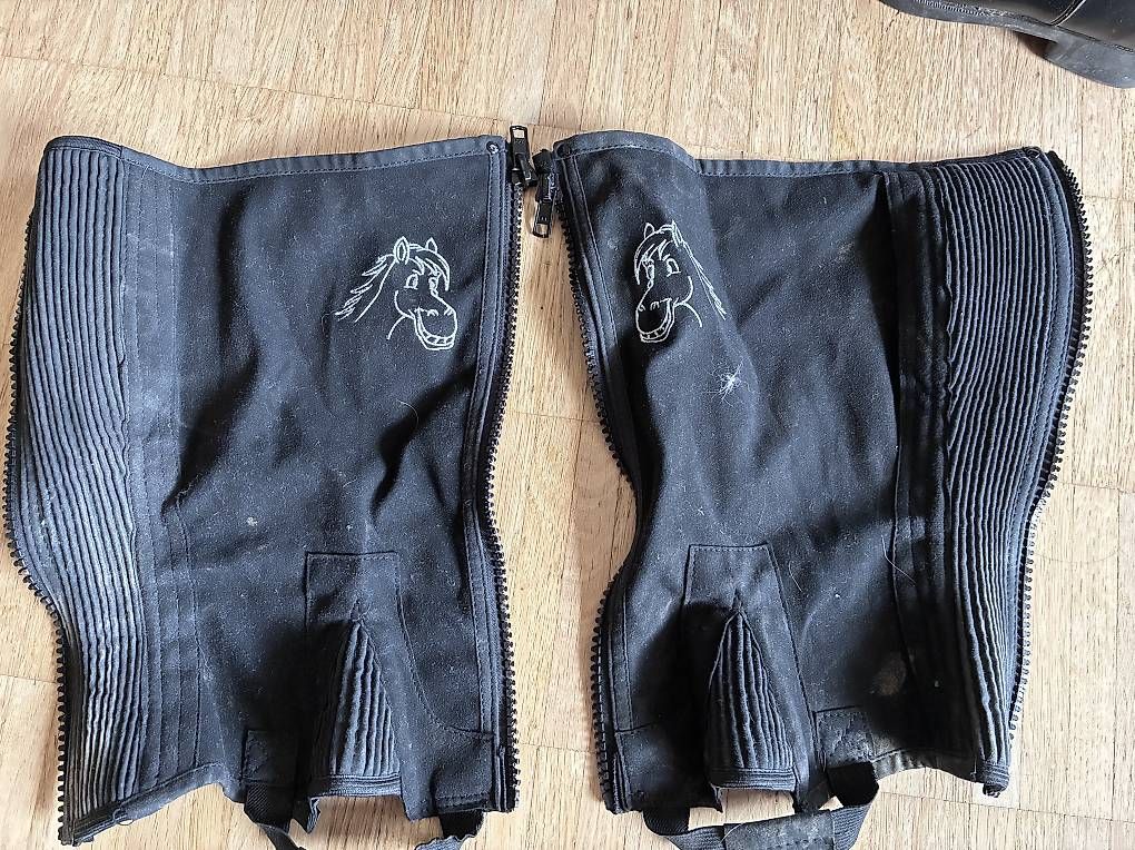 Stinchiere & Fasciature: Reithelm, Gamaschen und Reit-Stiefeletten – Usato da Uster venduto da Fluma 3