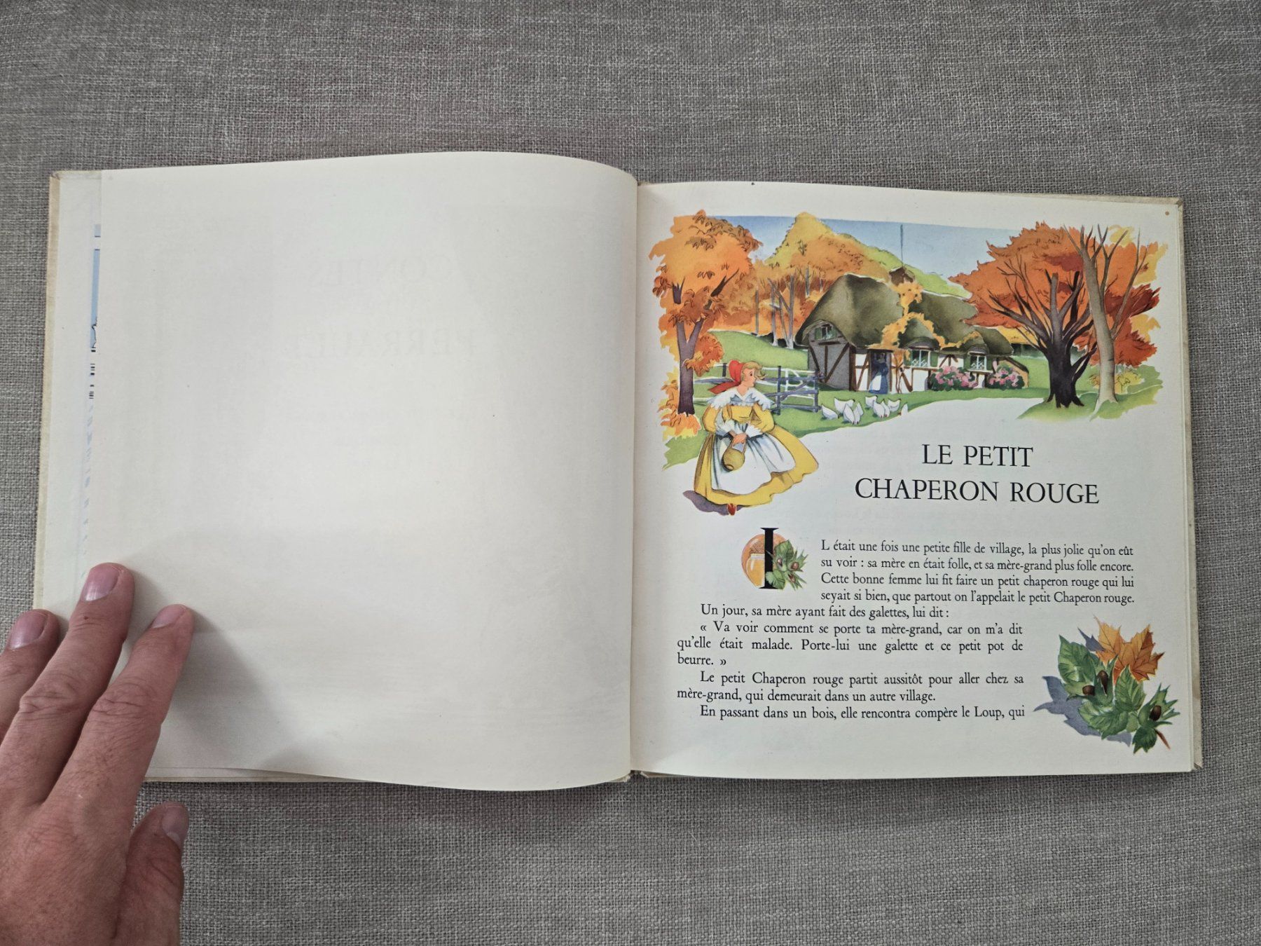 Livres: Contes de Perrault – D'occasion à Crémines par Blakedrake 5