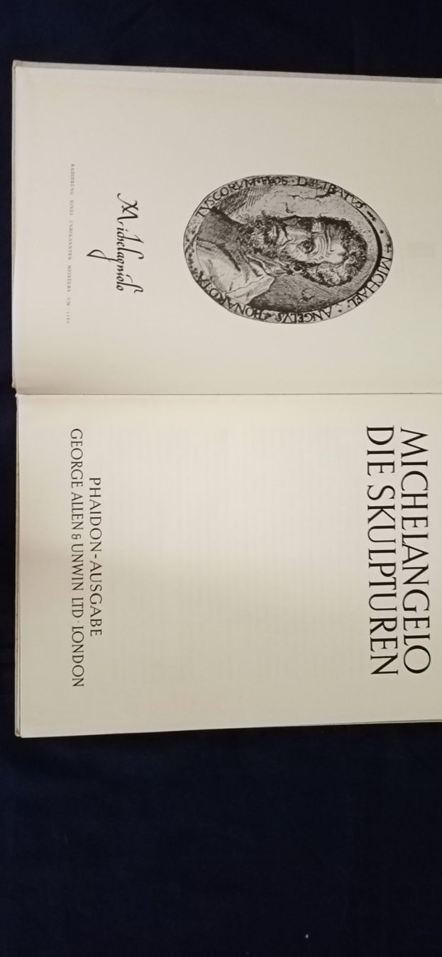 Libri: Michelangelo, Bildband – Usato da Büsingen venduto da Flohminator 1