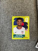 Panini Sticker USA 15, WM 2026
