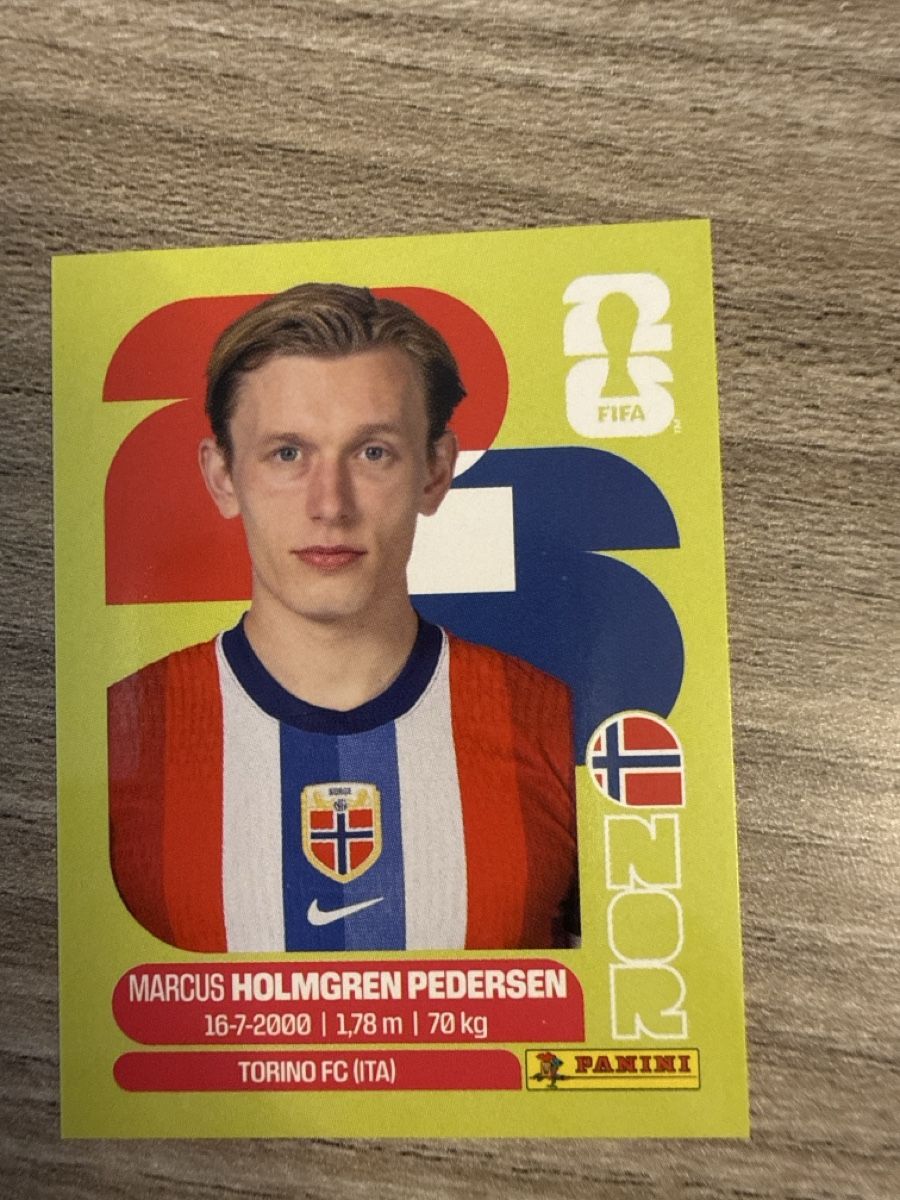 Panini Sammelbilder & Trading cards: PANINI Fifa  – Neu (gemäss Beschreibung) aus Allschwil von Japollo