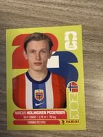 PANINI Fifa 