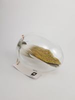 Punto Glasei mit Federn Goldig Glas