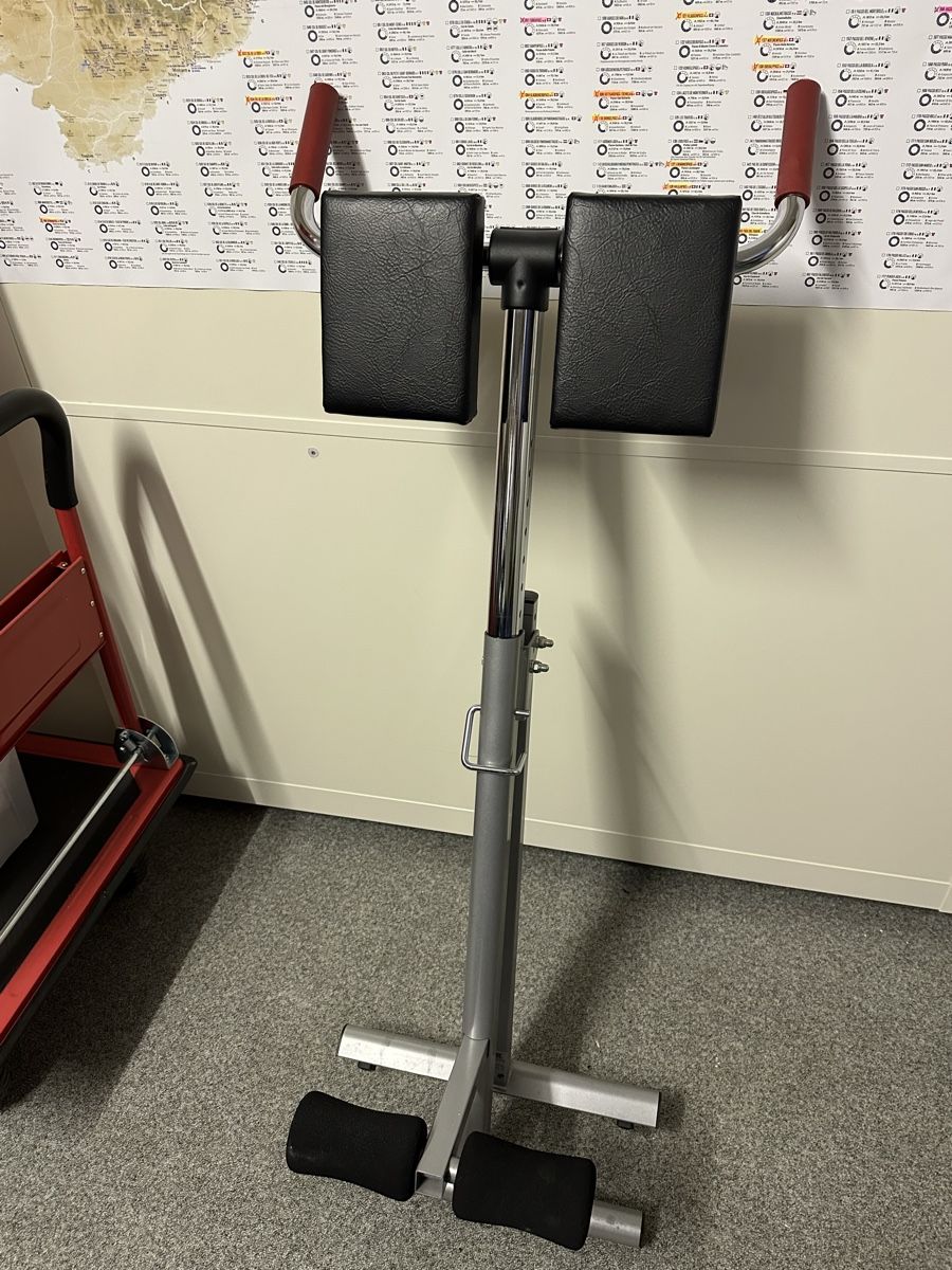 Kettler Hometrainer: Rückentrainer Kettler – Usato da Gundetswil venduto da petriheilremimartin 1