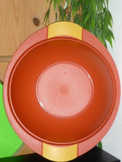 Tupperware Contenitori & Simili: TUPPERWARE 2,8 L. – Usato da St.Gallen venduto da Anso