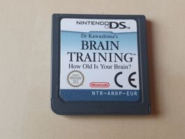 Brain Training