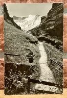 1954 - GRINDELWALD - Am Weg nach Bäregg - Berner Oberland