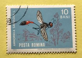 Briefmarken aus Rumänien gestempelt  Siehe Original Fotos. 