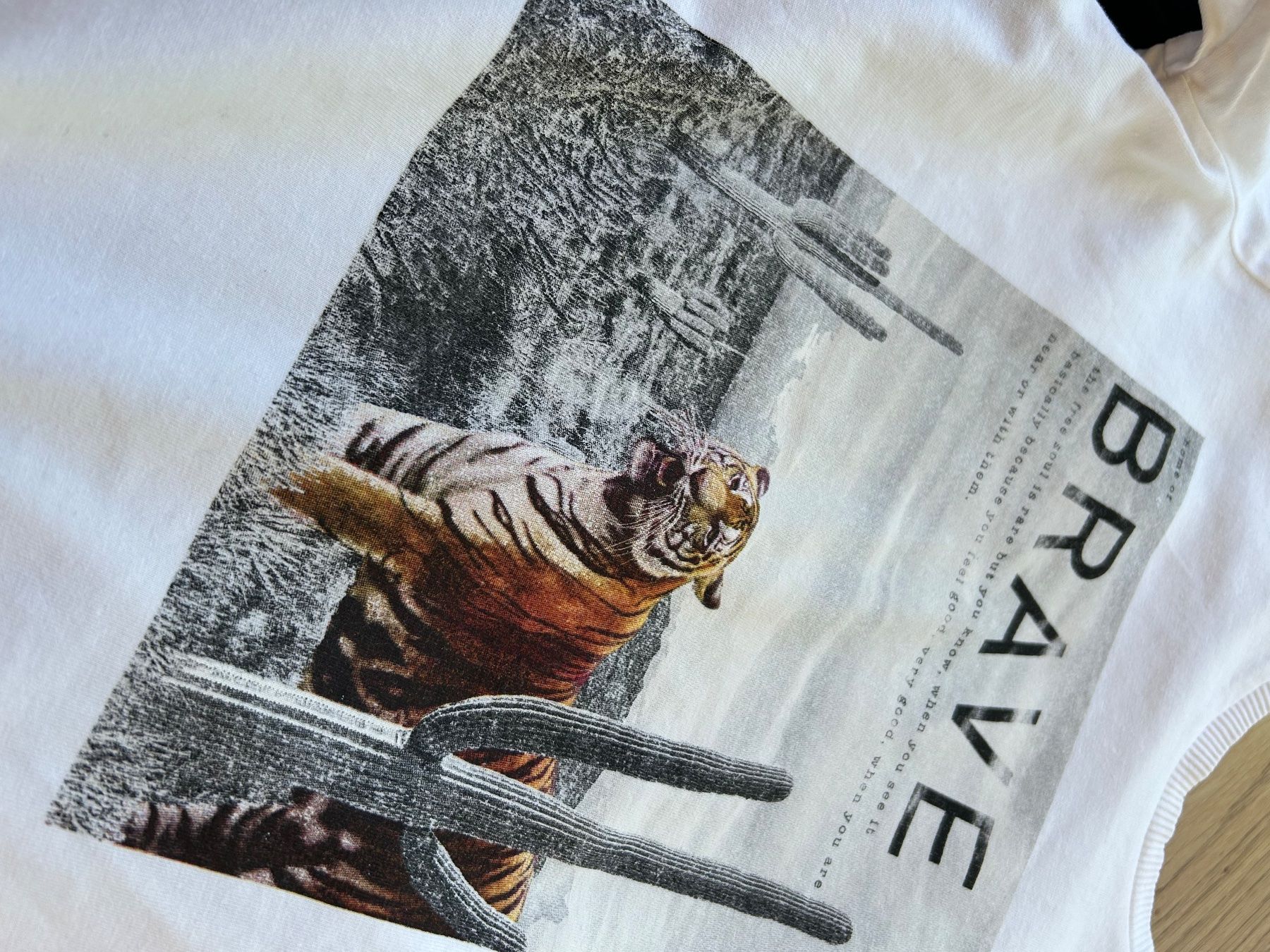Camicie, T-shirt & Polo: T-Shirts Gr.128 – Usato da Rothrist venduto da szc_9dg5 2