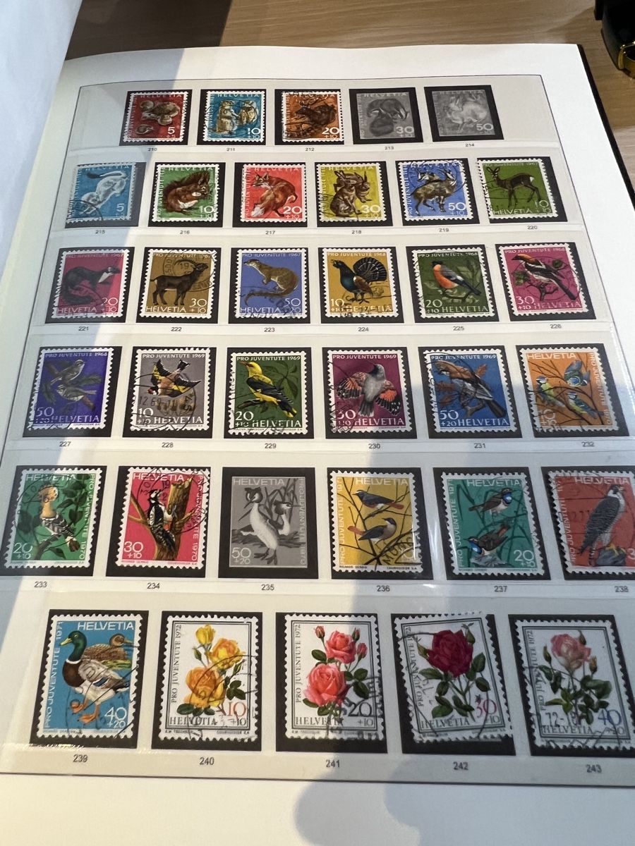 Tutti i francobolli: Briefmarken Album Schweiz 1900 ak Ansichtskarte Sammlung – Usato da Prosito venduto da Danielehh 5