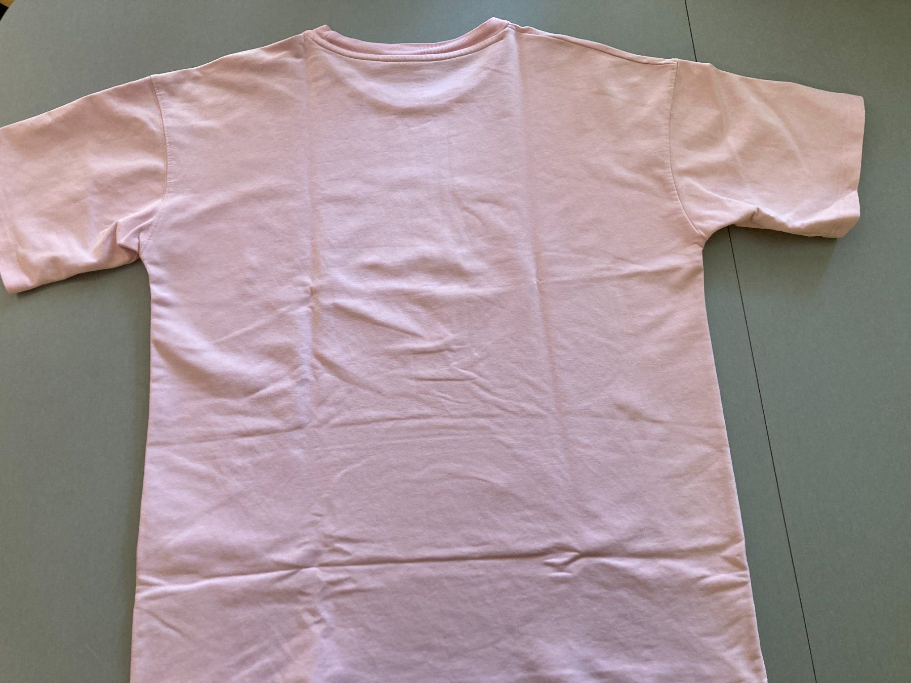 T-shirt: Elevate T-Shirt rosa – Usato da Obfelden venduto da miau68 4
