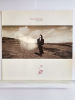 Tanita Tikaram - Ancient Heart Vinyl Schallplatte