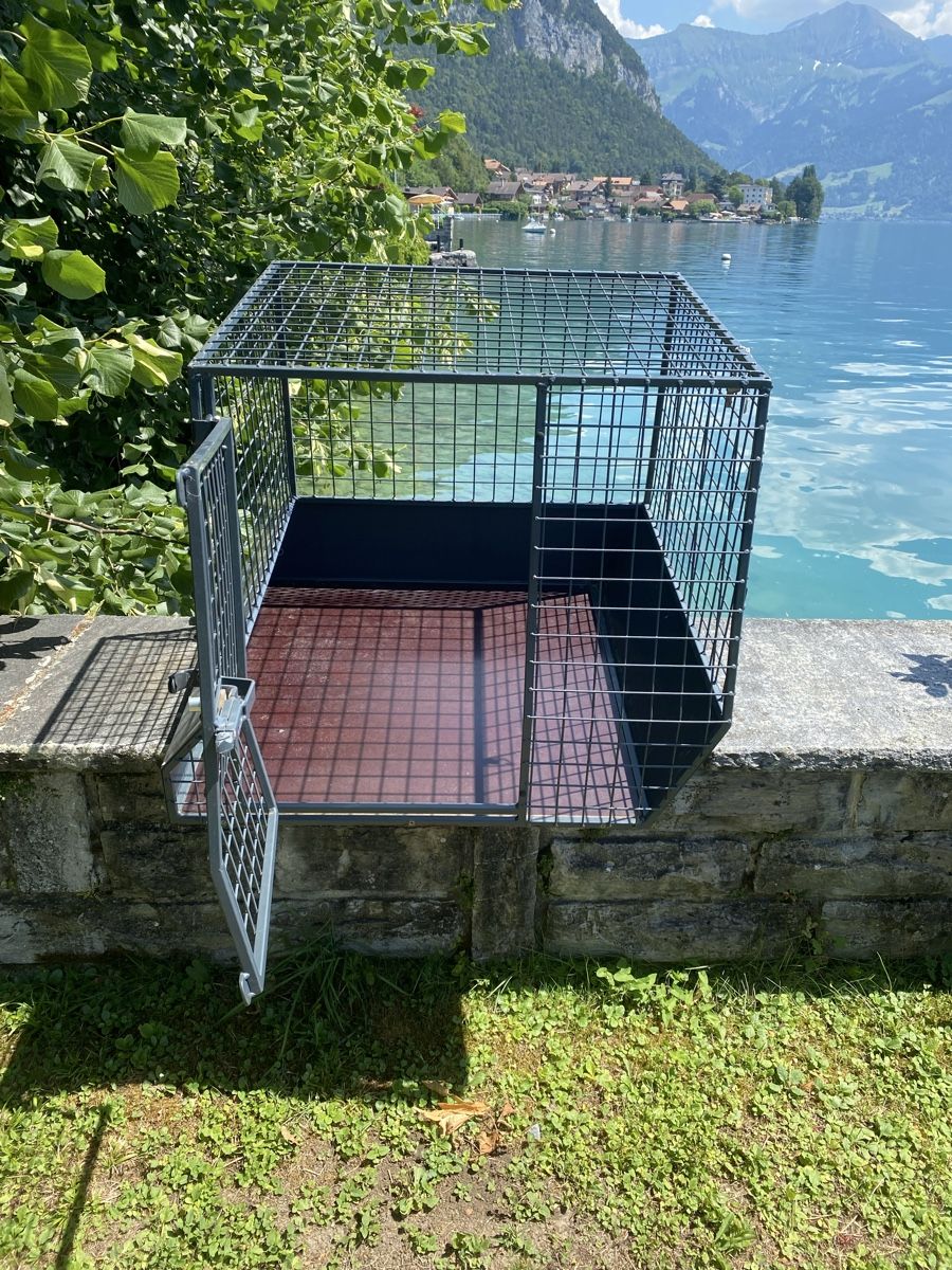 Gabbie, trasporto & Sicurezza: Hundebox Autobox Metall stabil – Usato da Merligen venduto da shalimar64 1