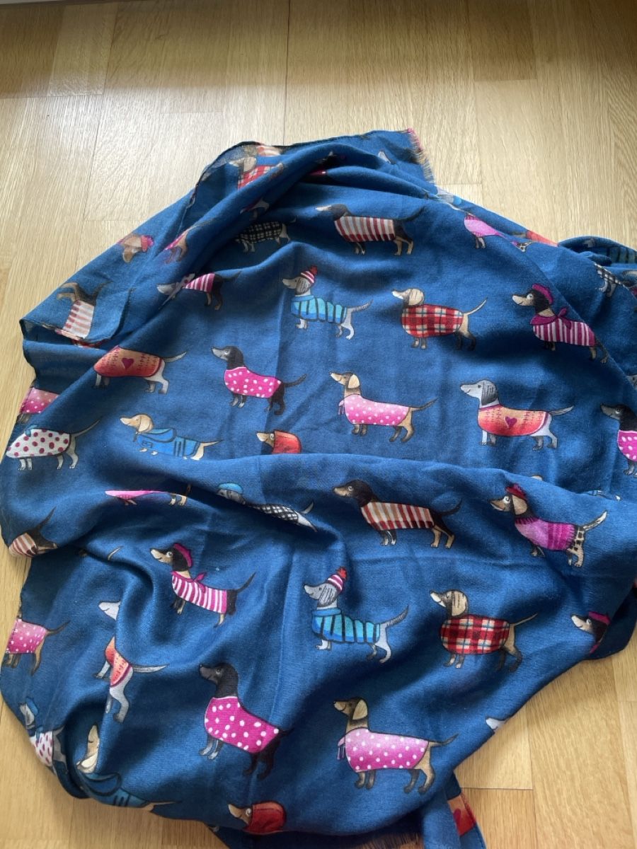 Sonstige Mädchenkleider: Schal mit Dackel-Motiv, Top Zustand – Gebraucht aus Rüfenacht BE von Edinas_shop