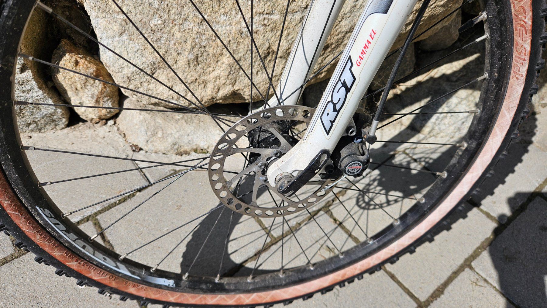 Wheeler Biciclette: WHEELER BIKE – Usato da Biel VS venduto da Basra 2