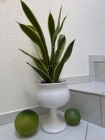 Keramik Pokalschale gross.
