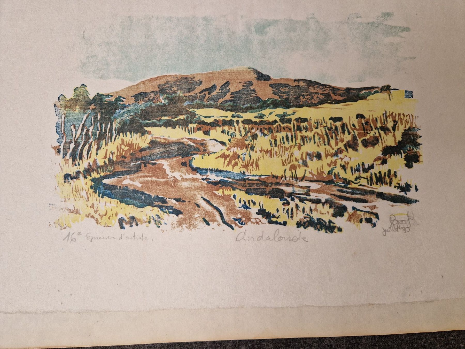 Dipinti: Grafik Aquarell Litho Mappe – Usato da Seedorf BE venduto da Stibutz 4