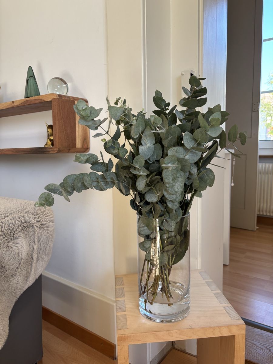 Vasi & Recipienti: Zylindrische Glasvase – Usato da Bern venduto da wisemagpie