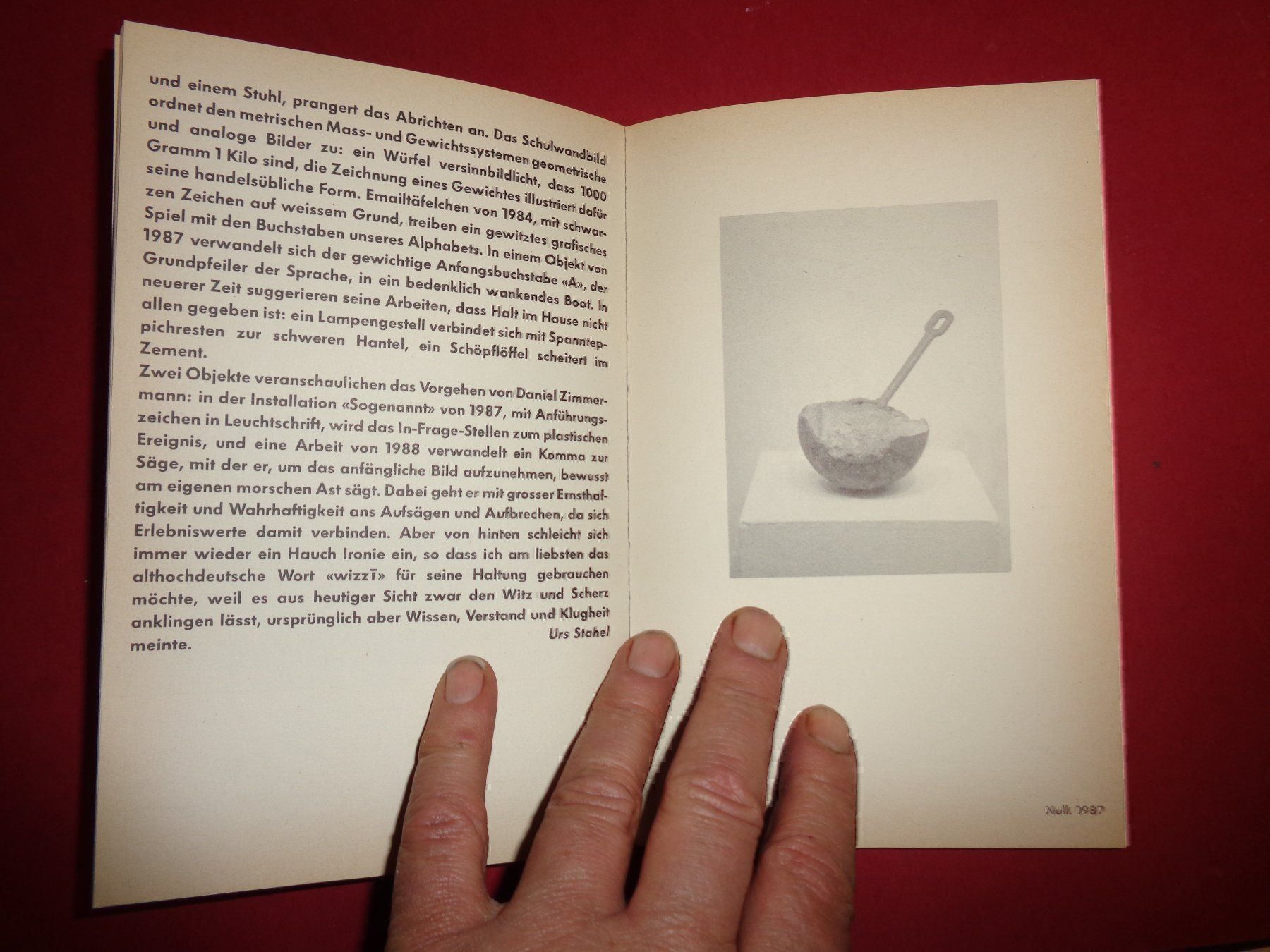 Livres: SCHWEIZER Künstler frei zoderer – D'occasion à Welschenrohr par Regool 2