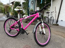 Scott Damenvelo 26"