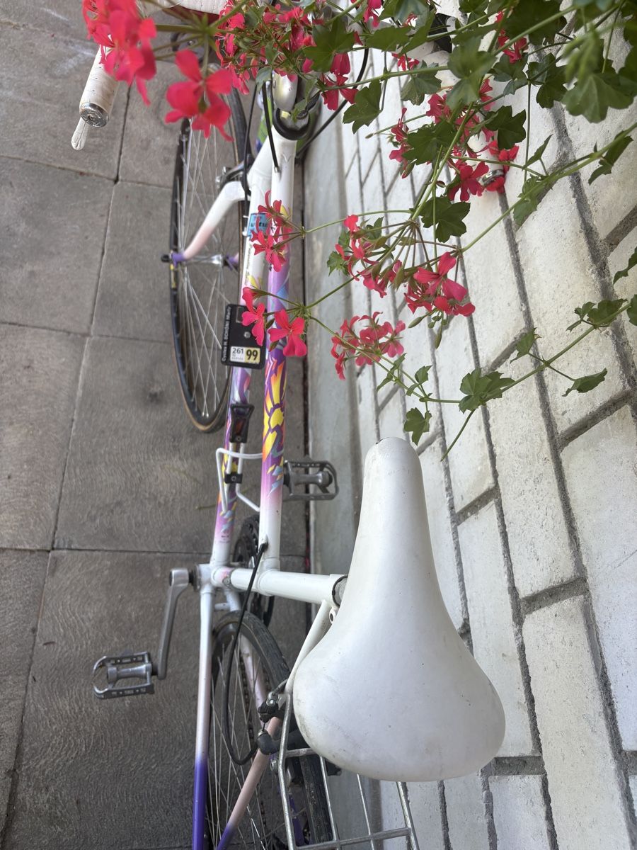 Biciclette: Vélo vintage – Usato da Matran venduto da Lored04 3