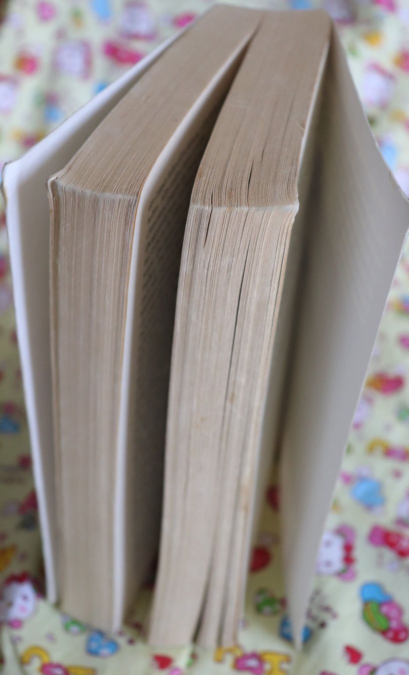 Libri: Westwärts von Penelope Williamson – Usato da Glattfelden venduto da Vrenely 3