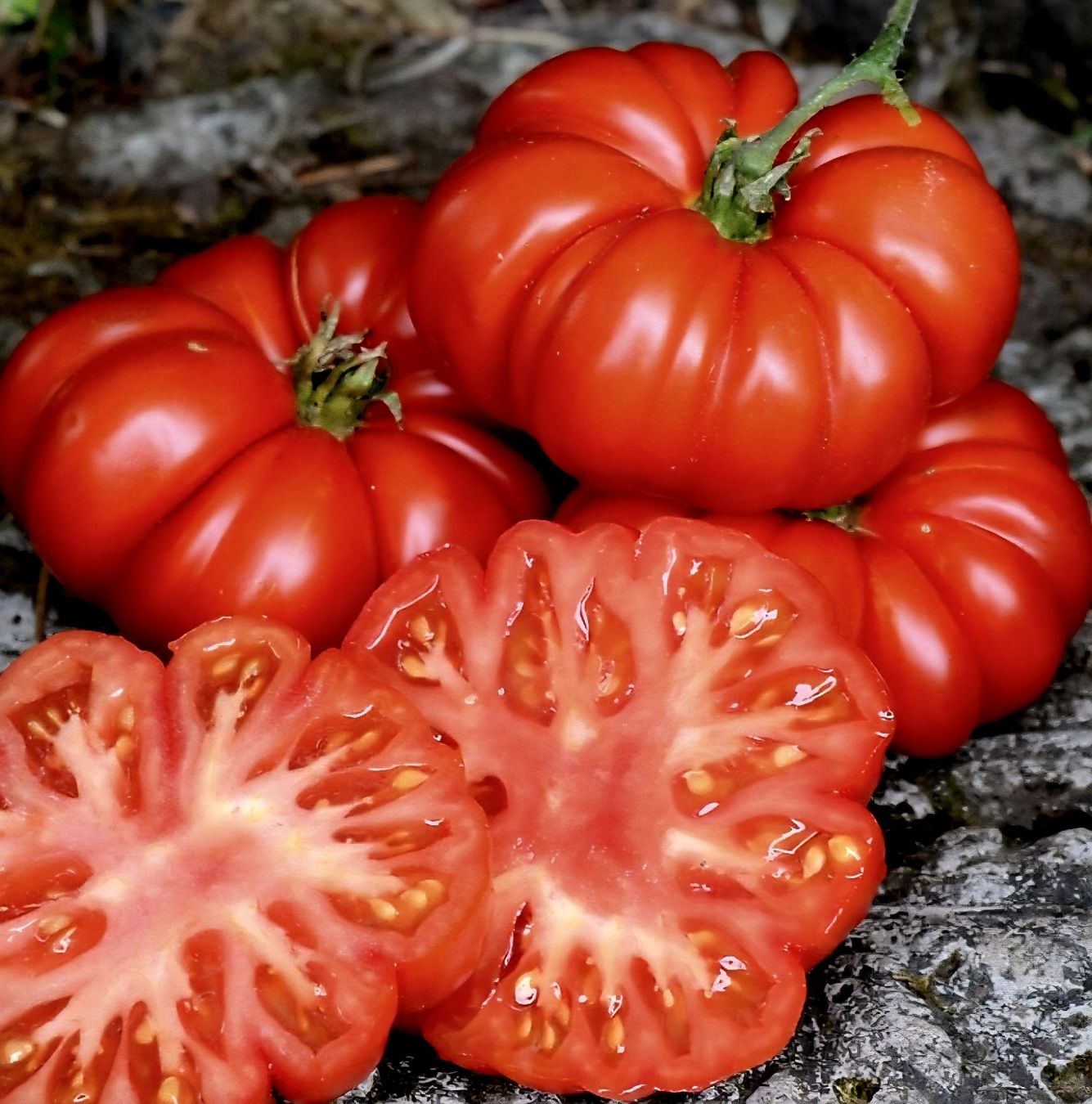 Piante & sementi: 10 Samen Florentiner Tomate 10 Graines Tomate Florentine – Nuovo e nell'imballaggio originale da Rovio venduto da POSITIFFARTandPLANTS 1