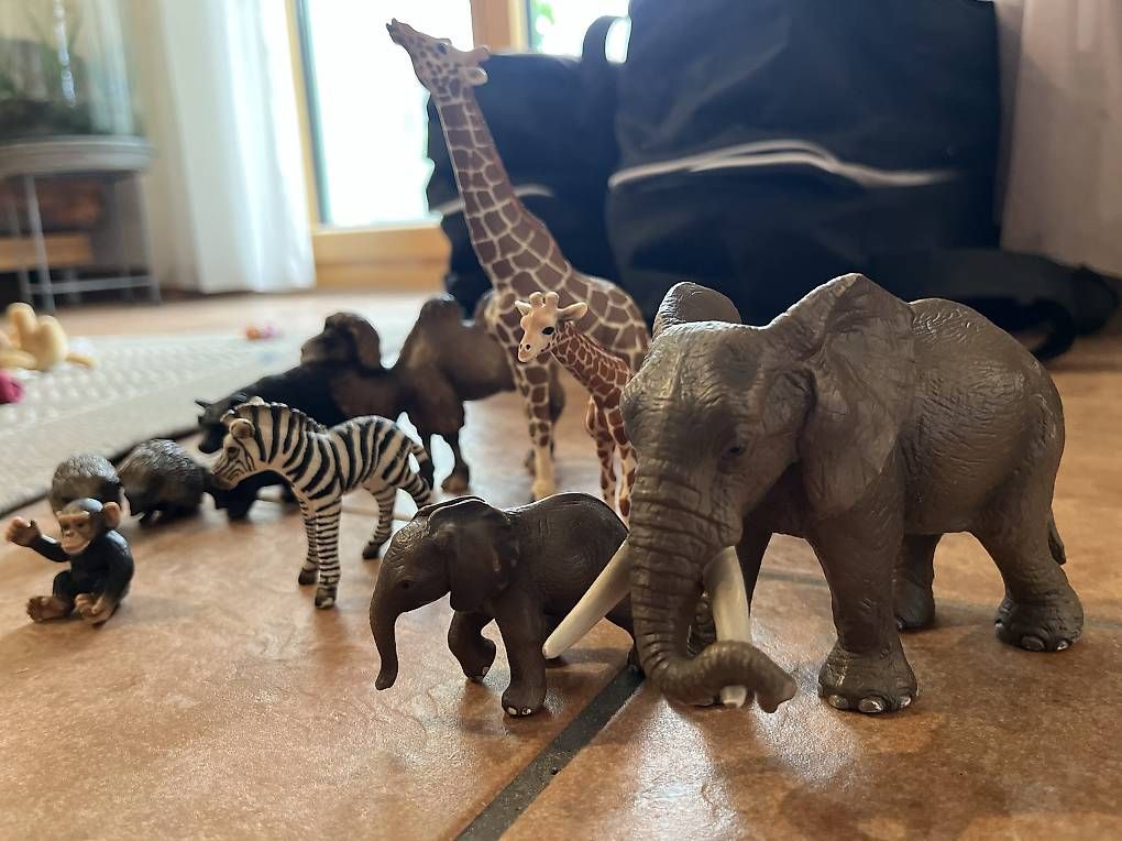 Figurines: Schleich-Tiere Zoo – D'occasion à Büren an der Aare par tadowa 1