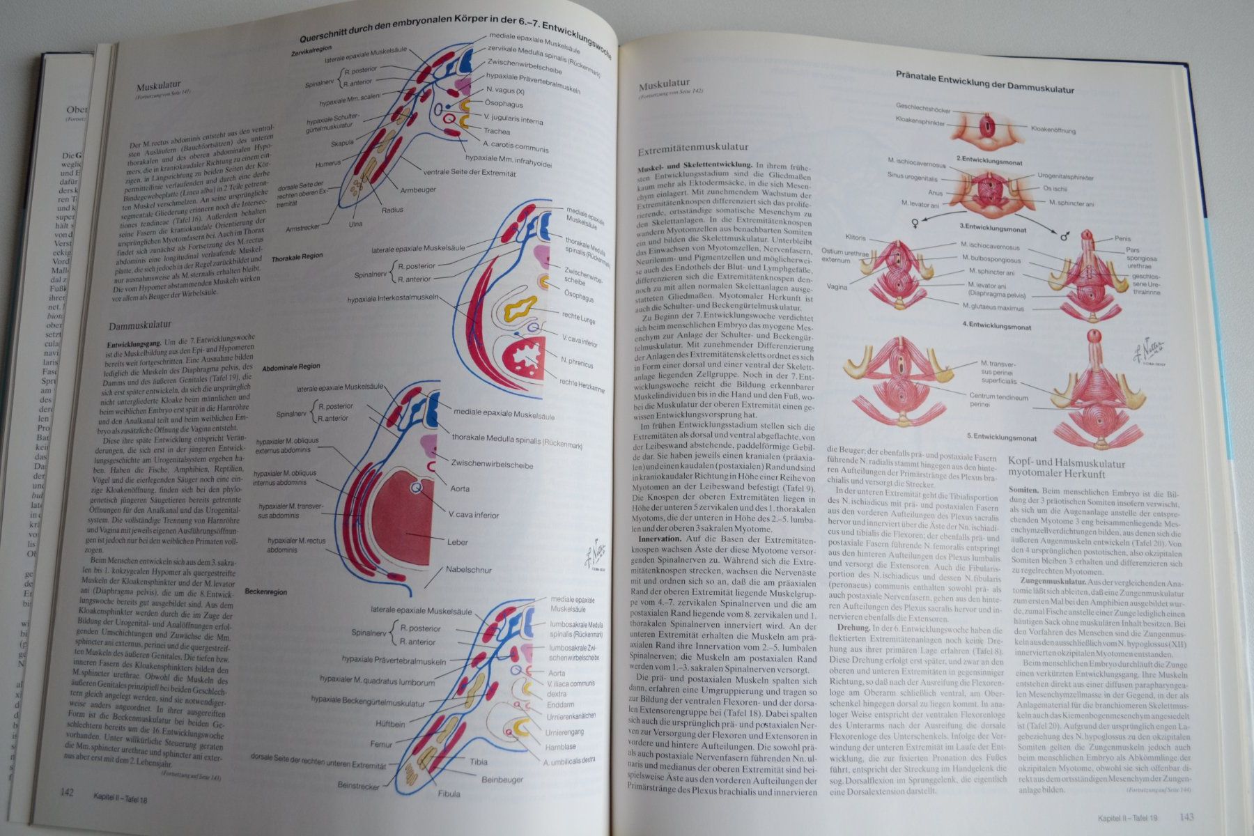 Bücher: Farbatlanten der Medizin 256 Seiten – Gebraucht aus Beinwil am See von kajak55 6
