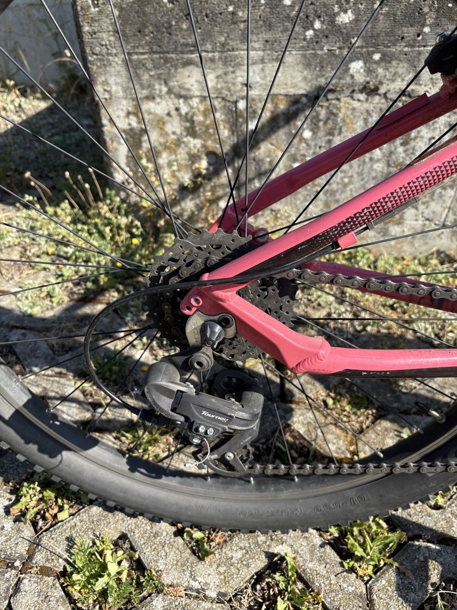 Scott Biciclette: Scott Contessa 26 Zoll – Usato da Bassersdorf venduto da Zuerileu6 4