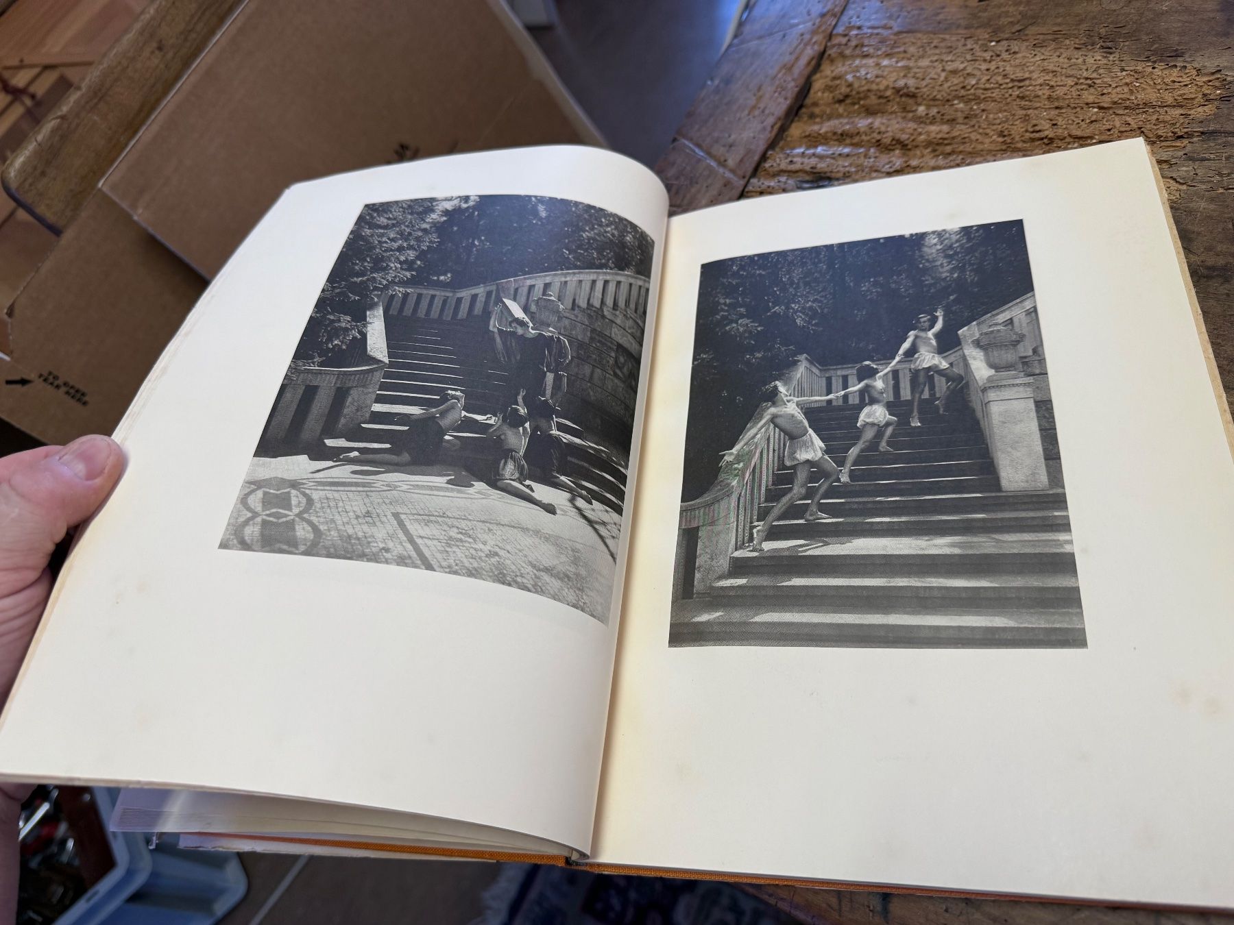 Libri: Paul JSENFELS getanzte Harmonien Bildband – Usato da Bern venduto da Jwpm66 5