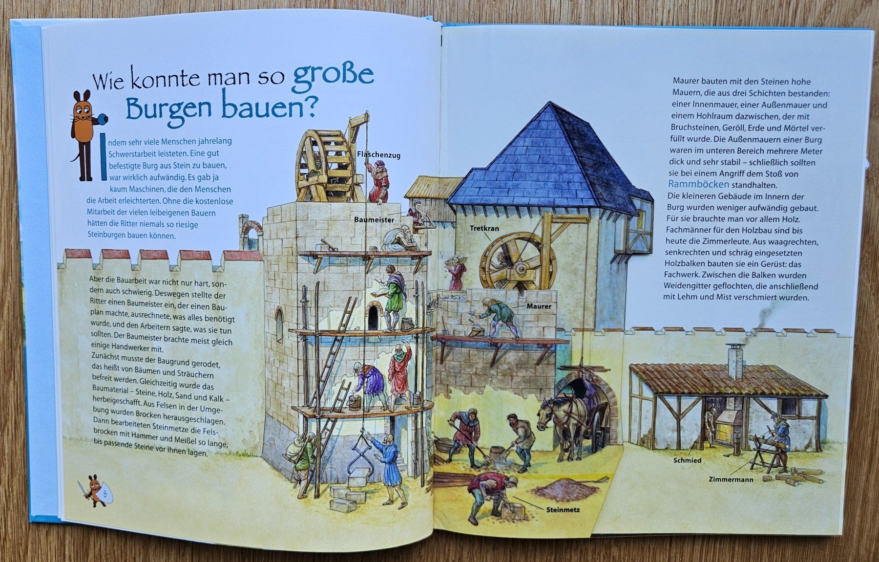 Libri: Ritter und Burgen – Usato da Schaffhausen venduto da asyouwestley 3