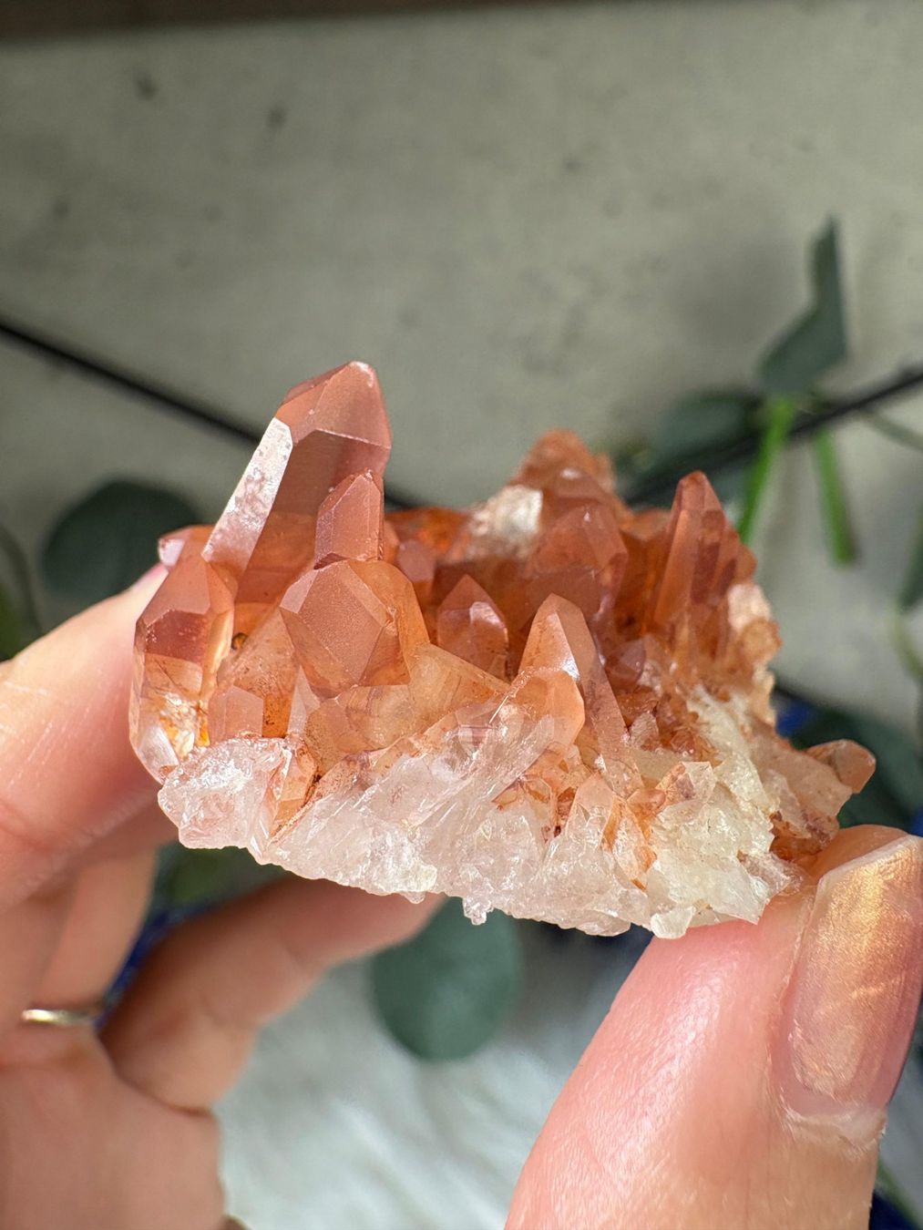 Minerali & Pietre curative: Tangerine Quarz-Cluster – Nuovo (secondo la descrizione) da Neuheim venduto da m.hald 2