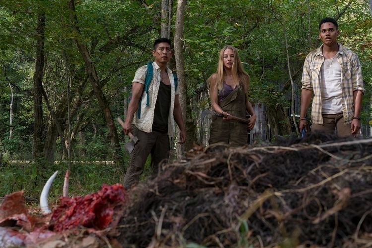 Alle DVDs: WRONG TURN - The Foundation - Reboot 2021 – Gebraucht aus Luzern von cole.trickle 2