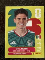 MEX 7 - Panini WM 26