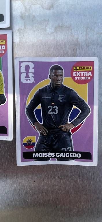 Panini Carte collezionabili: PANINI WM 2026 Extra Sticker – Usato da Gelfingen venduto da aba81 4