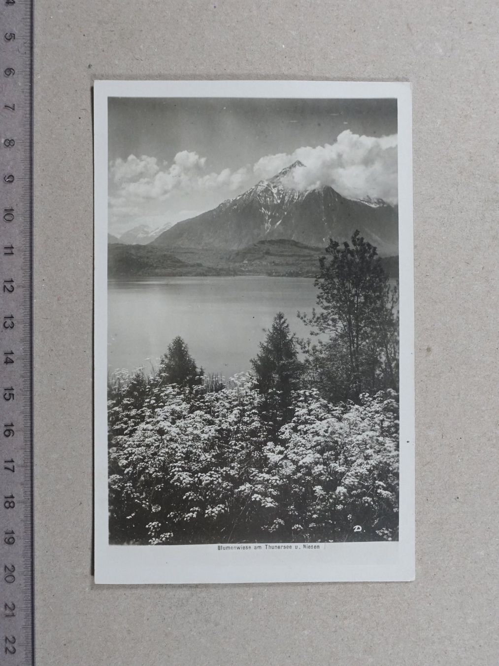 Cartes postales: Blumewiese, Thunersee, Niesen, Thun – D'occasion à Lenzburg par fh1