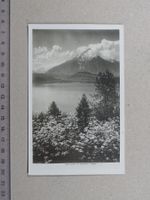 Blumewiese, Thunersee, Niesen, Thun