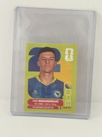 FIFA World Cup 2026 sticker UNITED EDITION BH 5