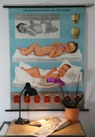 Schulwandbild "Baby & das Zahnen"