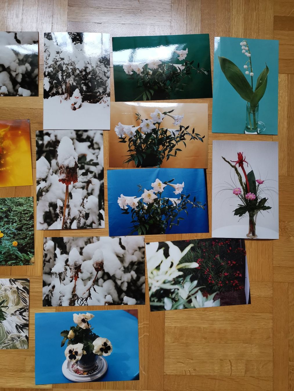 Karten: 21 Foto Karten, Blumen – Neu (gemäss Beschreibung) aus Dornach von Hei50 3