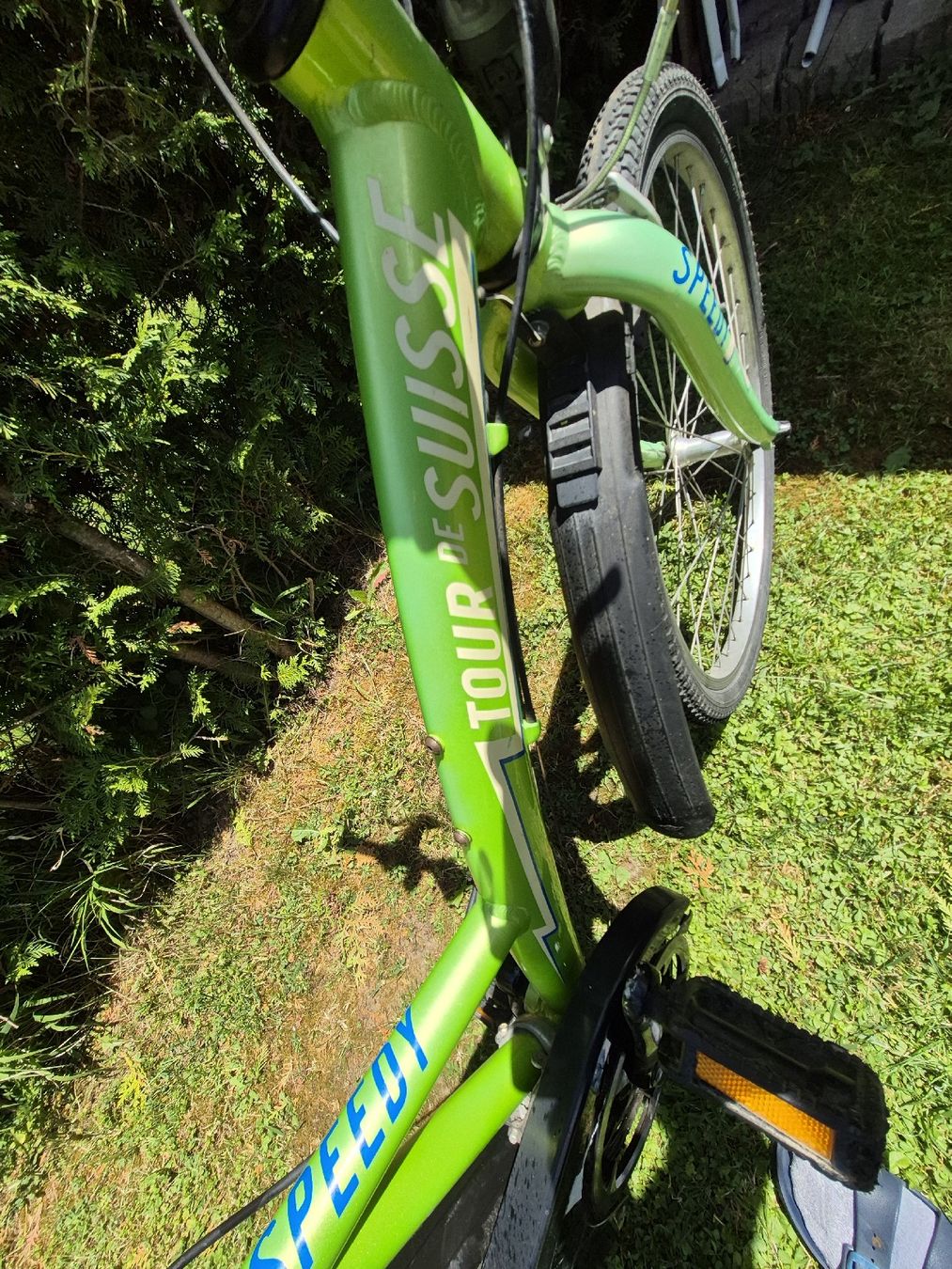 Tour de Suisse Biciclette: Velo Tour de Suisse Speedy – Usato da Winterthur venduto da Lumi11 4