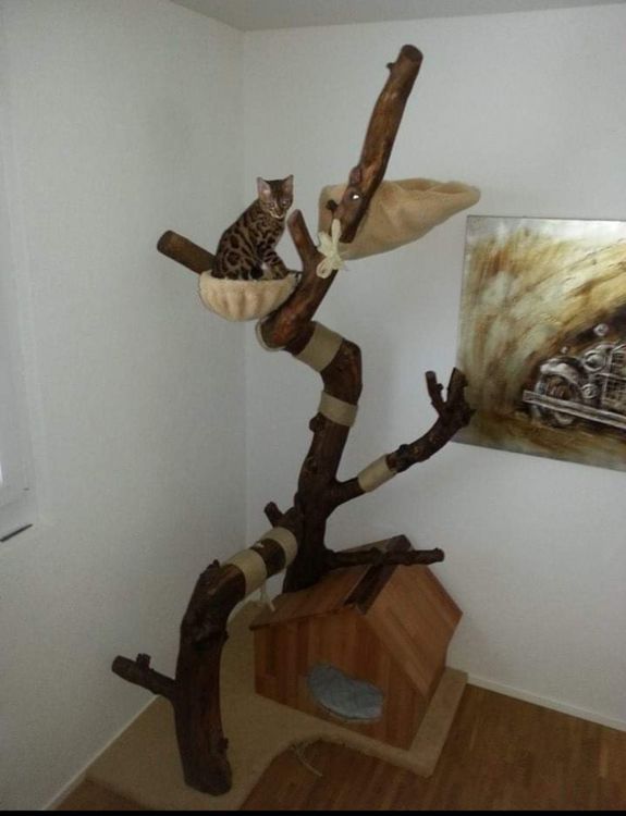 Großer Kratzbaum Aus Naturholz Für Katzen – Mit Kratzturm, Bett, Hängematte Und Spielzeug – Rustikaler Kletterbaum Zum Kratzen Und Spielen